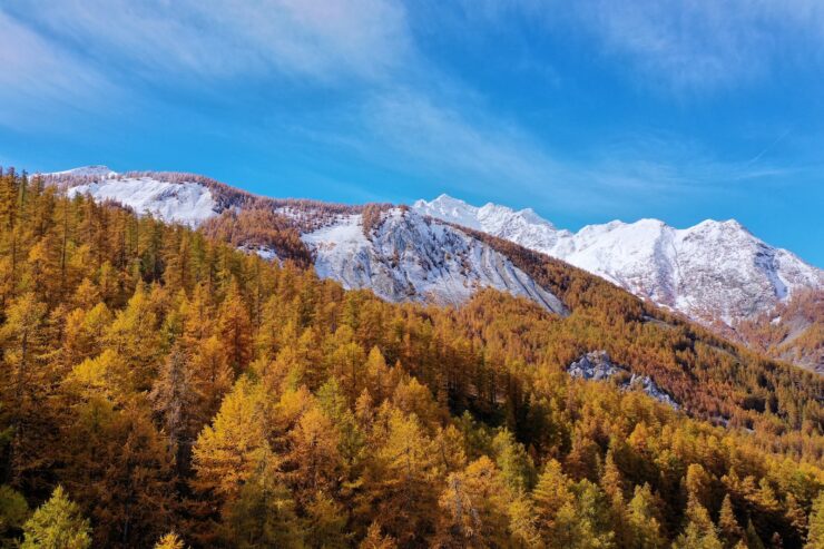 green and yellow trees near mountain under blue sky during daytime